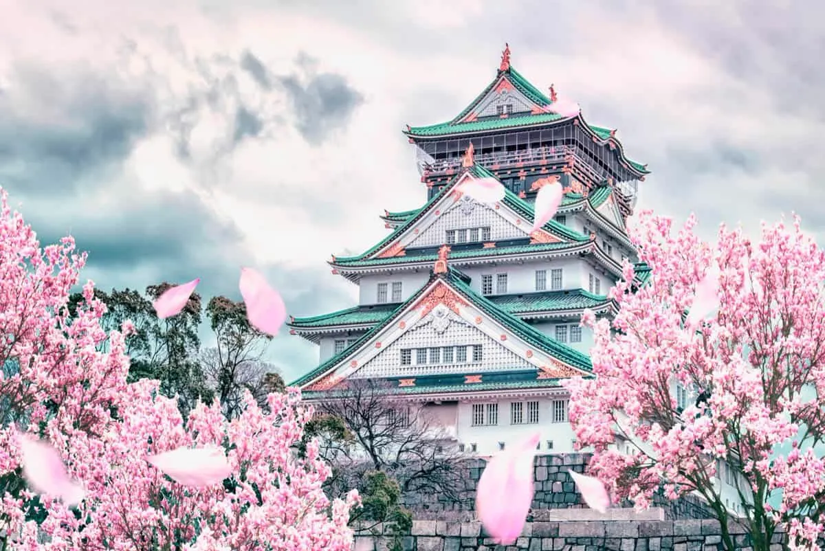 Japan Cherry Blossom Season photo 9