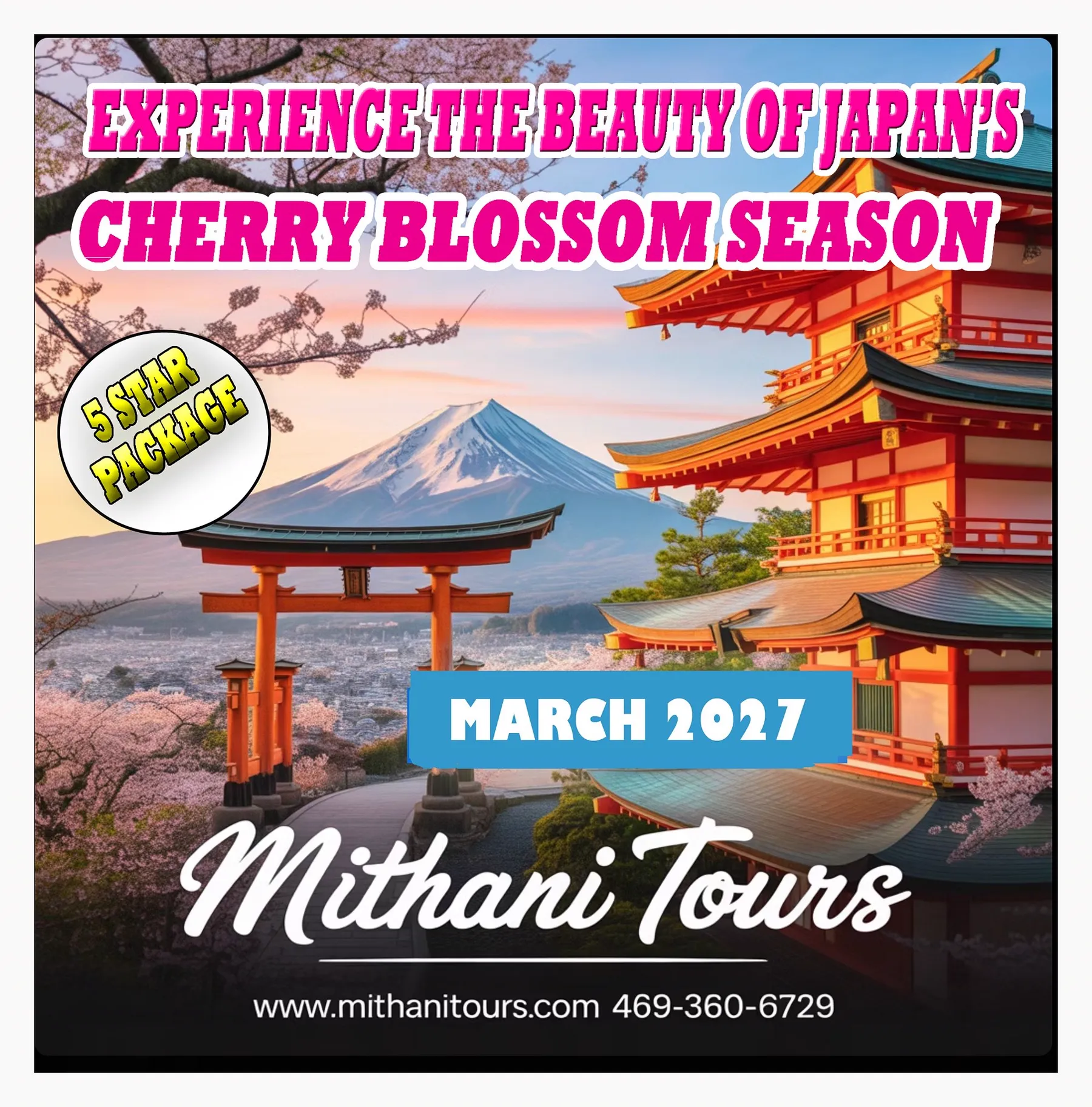 Japan Cherry Blossom Season photo 1