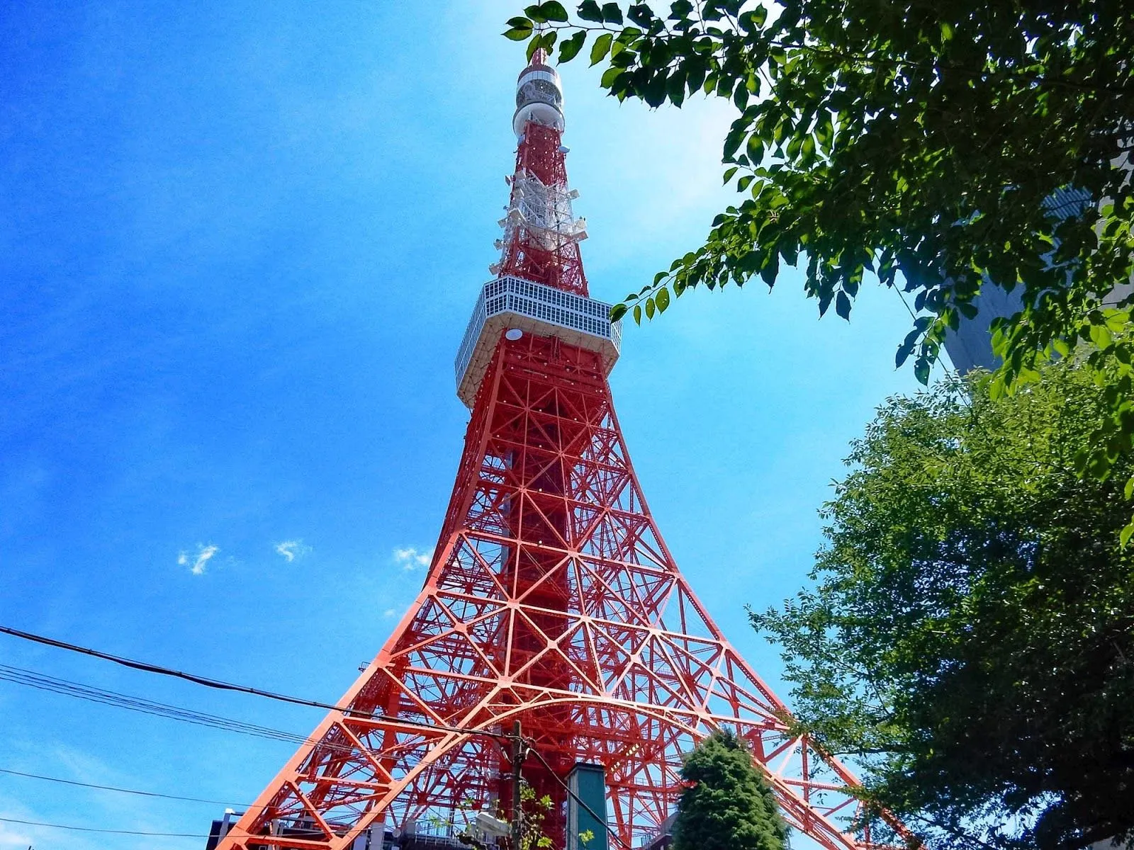 Japan Cherry Blossom Season photo 5